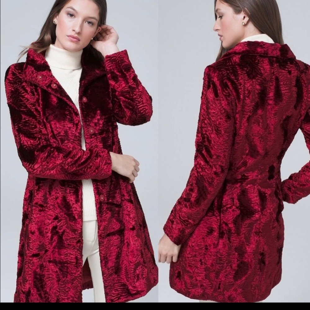 Sp whbm jacket - Picture 5 of 5